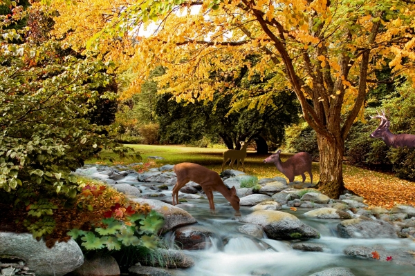 Creation of Autumn Along the Creek: Step 13